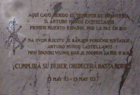 Tte Muñoz Castellanos